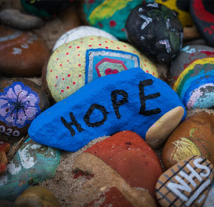 Rock garden with rock painted with the word Hope