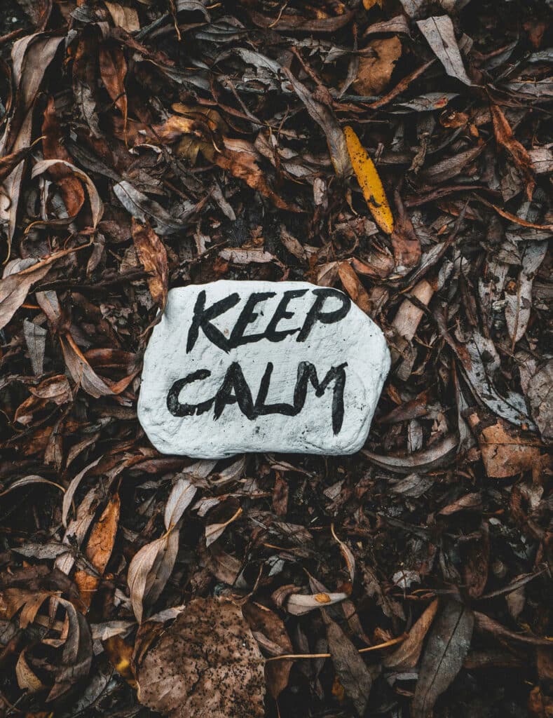 Photo of a rock that has 'Keep Calm' written on it to represent teens coping with depression and anxiety