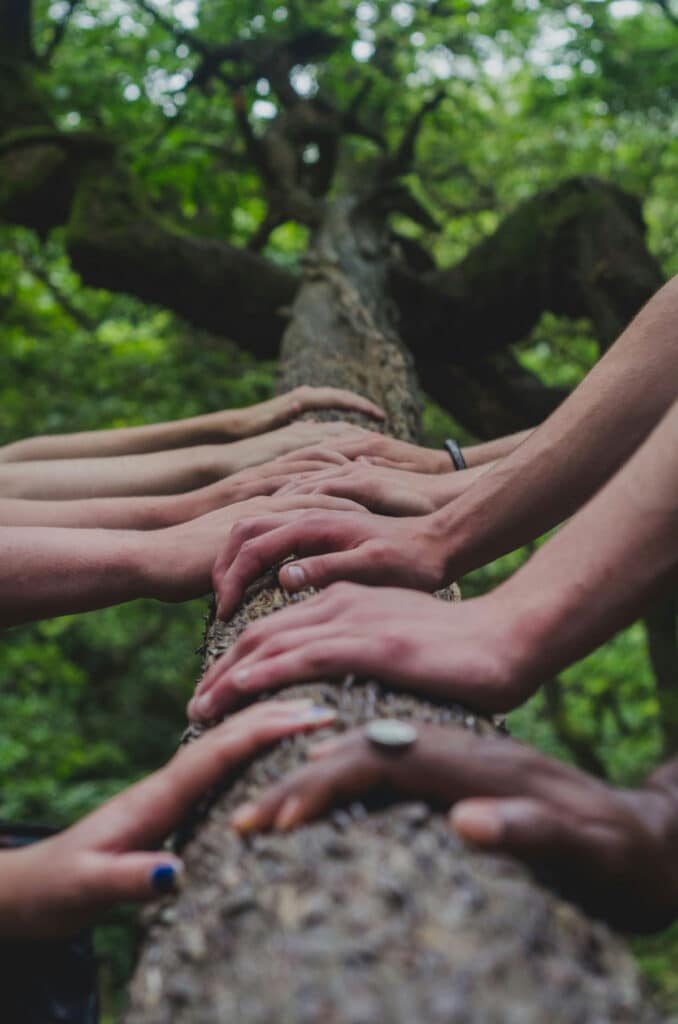 Photo of teens placing hands on a tree branch to represent teen mental health peer support